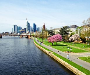 Frankfurt Main
