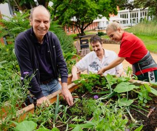 Zwei Herren arbeiten mit einer Betreuerin im Garten